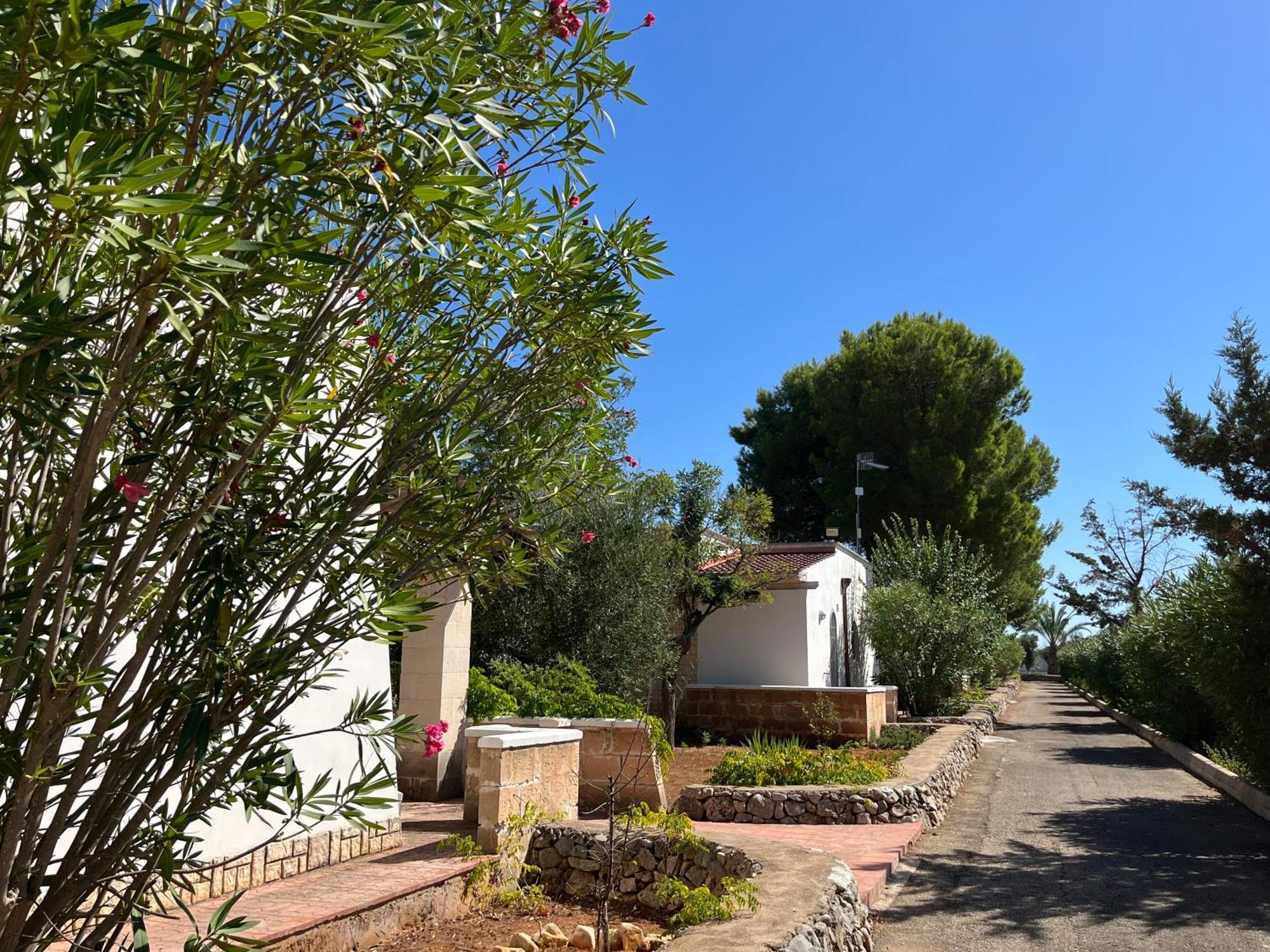 Casette Masseria La Camardia Sava Exterior foto